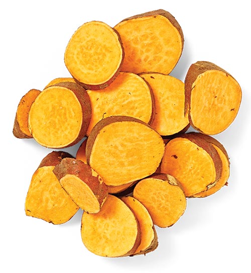 59 2 0