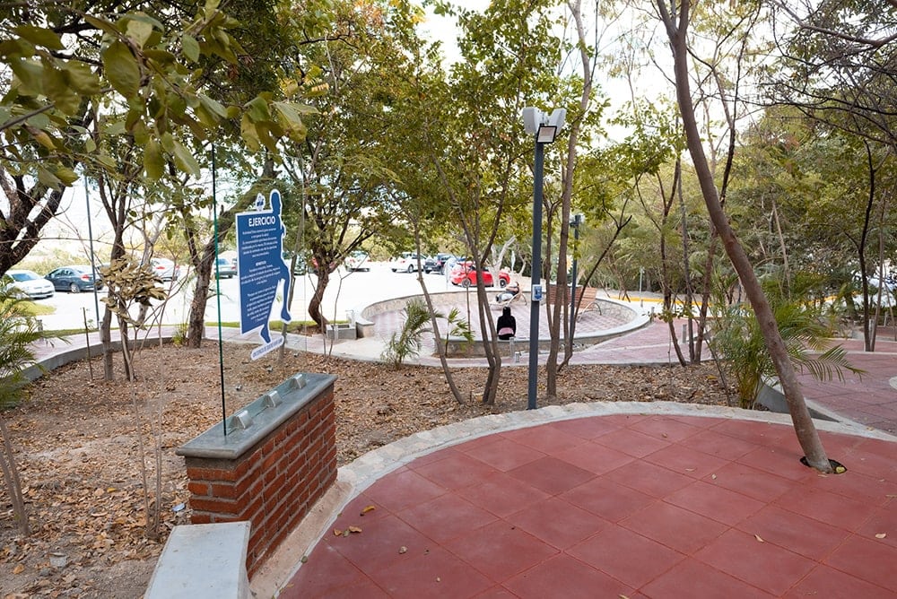 vida sana park chiapas