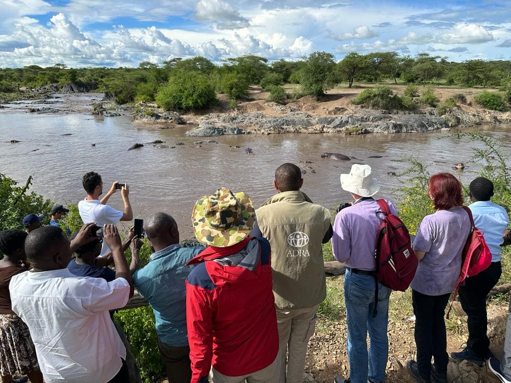 Observing Hippopotamuses in the Serengeti and Ngorongoro Parks